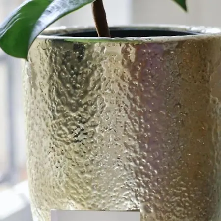 Duplex Downtown Abbaye By La Boite En Senlis (Oise)